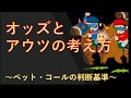 【ポーカー】初心者向け基本講座 オッズとアウツの考え方【テキサスホールデム】