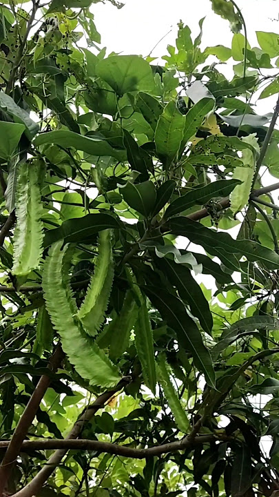 ลดรายจ่าย😊👍👍