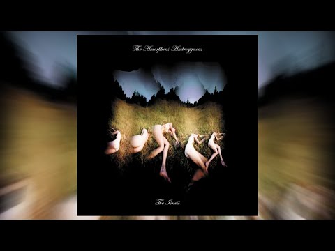 Amorphous Androgynous - The Mello Hippo Disco Show