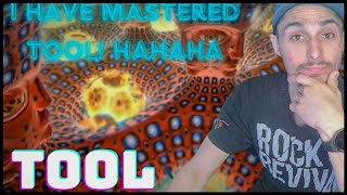 TOOL - &#39;Vicarious (Official Audio) [10,000 Days] |EVFAMILY&#39;S REACTION|