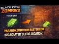 BLACK OPS 7 ZOMBIES PARADOX JUNCTION EASTER EGG IRRADIATED SEEDS LOCATION #blackops7 #bo7zombies