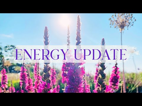 ENERGY UPDATE 💫 Alignment • Manifestation • The Sacred Pause ✨
