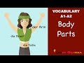 Learn German | German Vocabulary | die Körperteile | Body parts | der Körper | A1