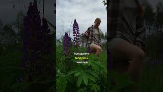 Инст и тг, по ссылке в описании канала. Как избавится от сутулости #домашняятренировка