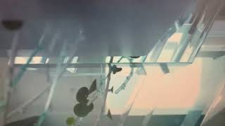 無線電視明珠台台徽