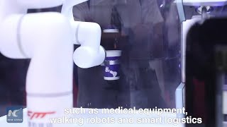 Cutting-edge robotics on display in Beijing