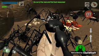 Cataglyphis ant colony screenshot 5