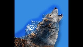 Amazing wolf Design !!! Double Exposure Effect !! (Photoshop tutorial