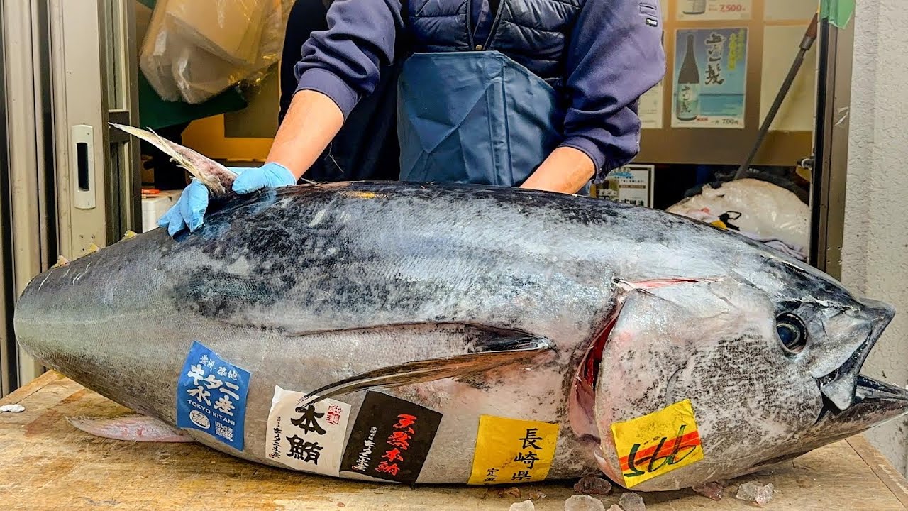 【裁断済】おさかな bluefin tuna cutting 本マグロ解体 tokyo Japan - YouTube