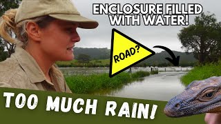 We FLOODED AGAIN.... The Wildlife Twins by The Wildlife Twins 346 views 1 month ago 16 minutes