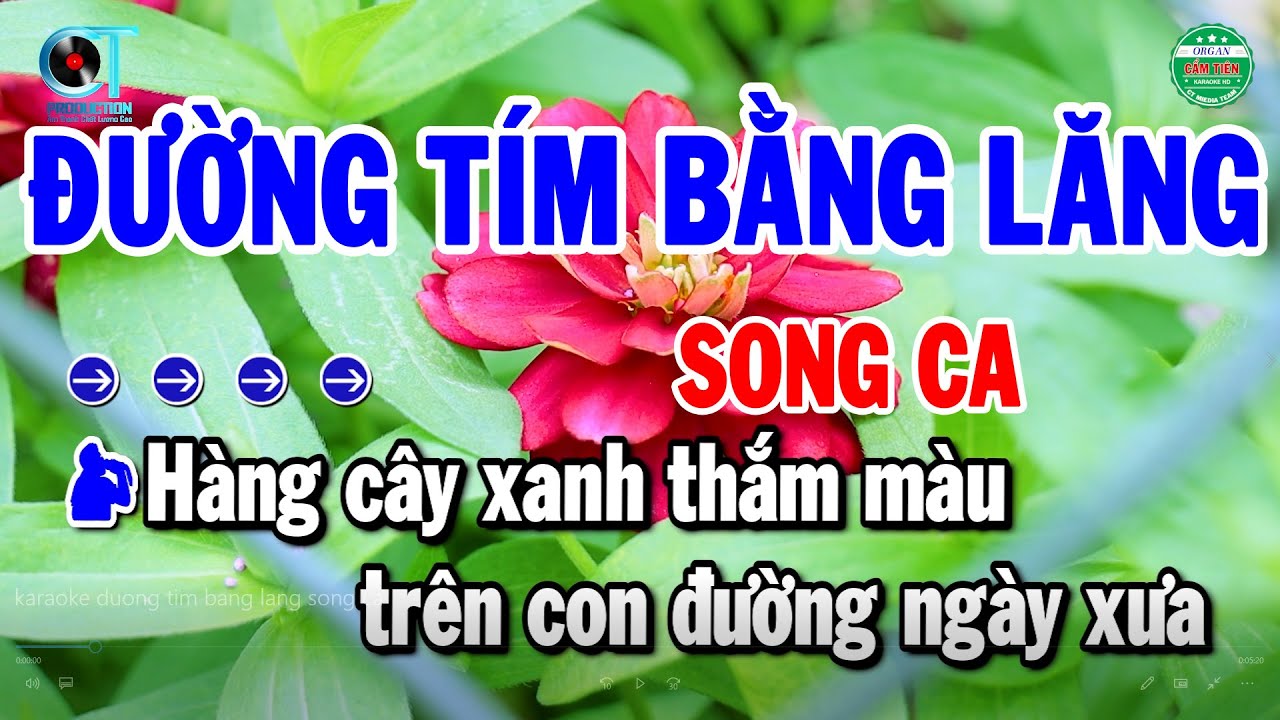Karaoke Đường Tím Bằng Lăng Song Ca Nhạc Beat Chuẩn Nhất 2026 | Cẩm Tiên Organ