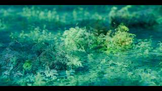 Made weight control for large-scale plant growth in Blender | Panel explanation | Lan library