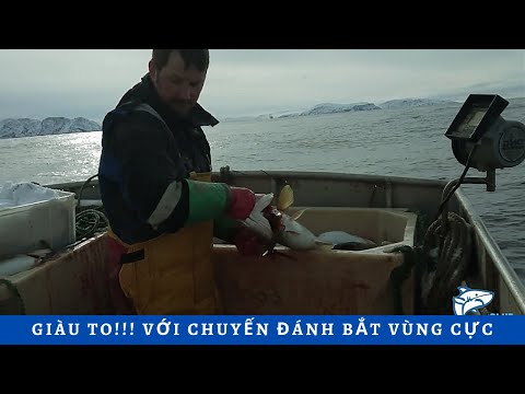 Video: Câu Cá Burbot Mùa đông - Đánh Bắt Của Ai Tốt Hơn