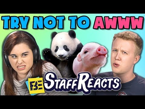Download TRY NOT TO AWWW CHALLENGE #4 (ft. FBE Staff)