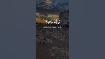 إنك ميت وإنهم ميتون  بصوت القارئ ماهر المعيقلي