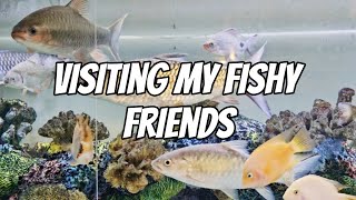 VISITING MY FISHY FRIENDS 