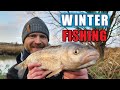 Winter Fishing Session | Rob Wootton and Joe Carass Chub Fishing session | Winter River Fishing