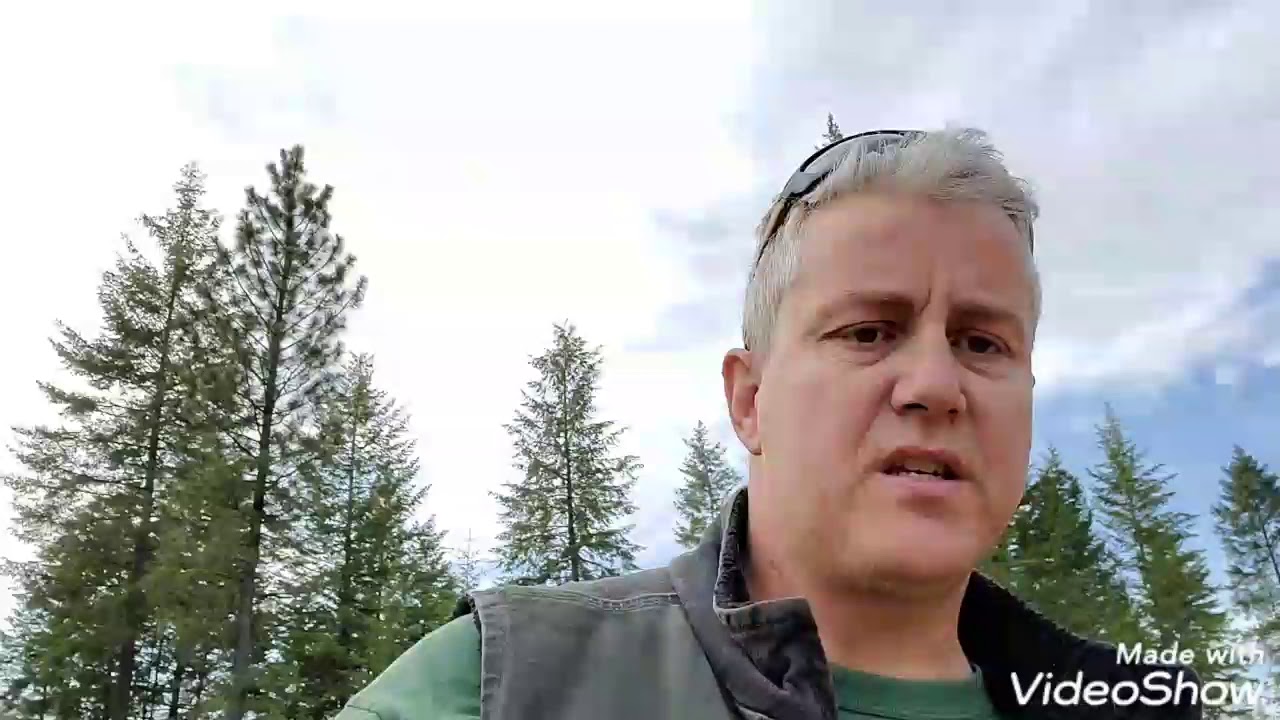 Rock splitting with feather and wedges!