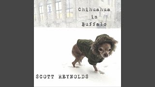 Video thumbnail of "Scott Reynolds - What's the Price for Innocence?"