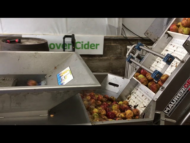 Pressing Cider Apples