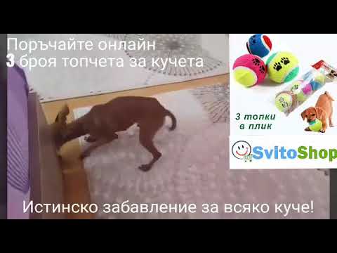 Видео: Тествани за кучета, одобрени от треньори играчки за кучета