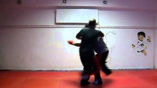 free style combat system