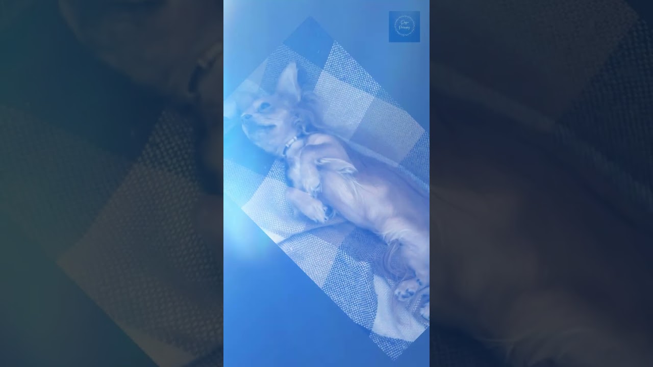 i-feel-so-loved-youtube