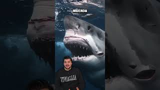 ¿Cómo se comparan las mayores mordidas de los animales? #cocodrilo #whiteshark #trex #megalodon