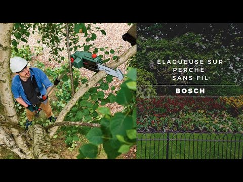 Vidéo: Élagueur électrique : Comment Choisir Un élagueur à Chaîne De Jardin à Long Manche Pour élaguer Les Arbres ? Caractéristiques Des Modèles Bosch