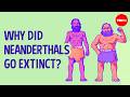 The biggest myths about Neanderthals - Bruce Hardy thumbnail