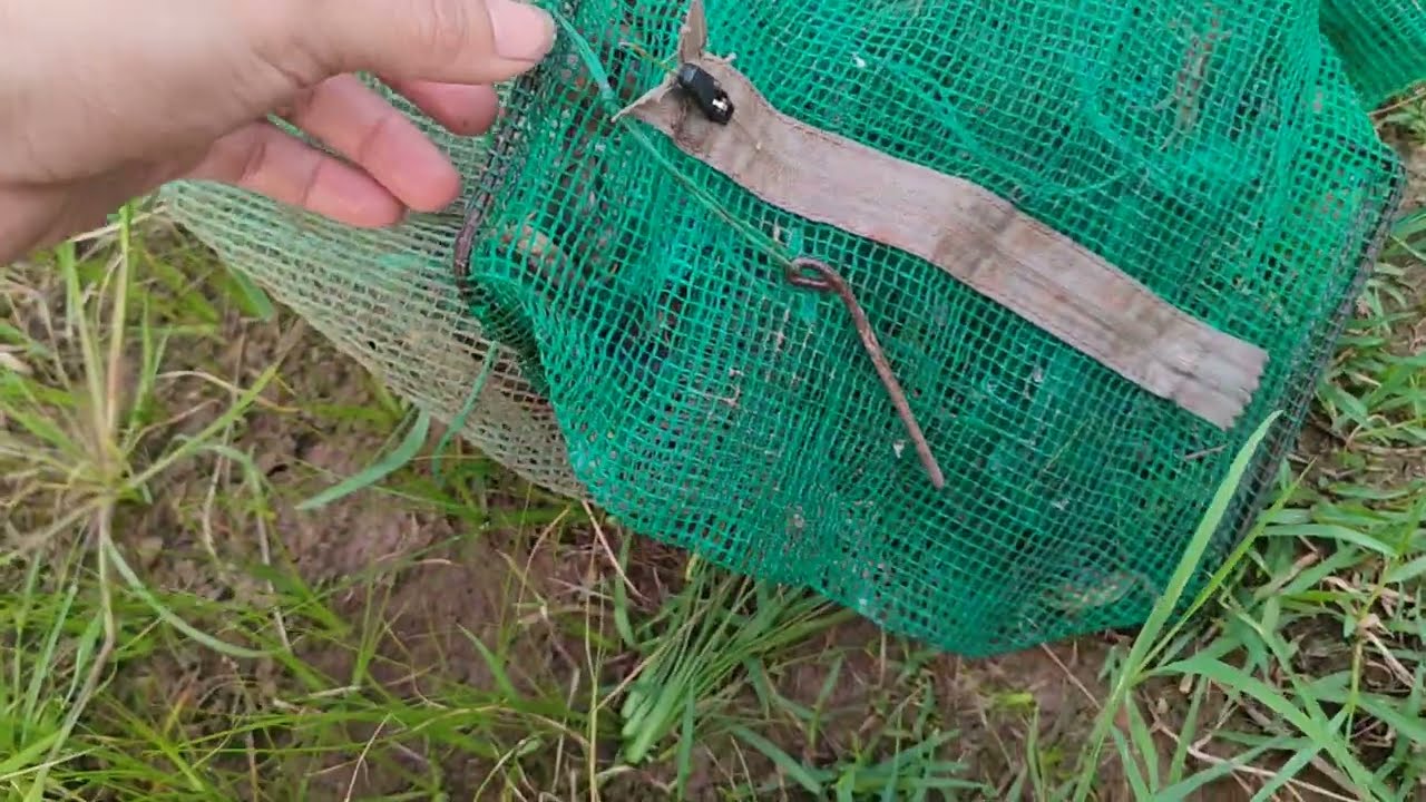 Bẫy cua đồng 2 cửa. rọ bẫy cua bền nhất 0969911694