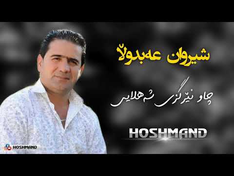 Sherwan Abdulla شیروان عەبدوڵا Gorani Shad چاو نێرگزی شەهلایی