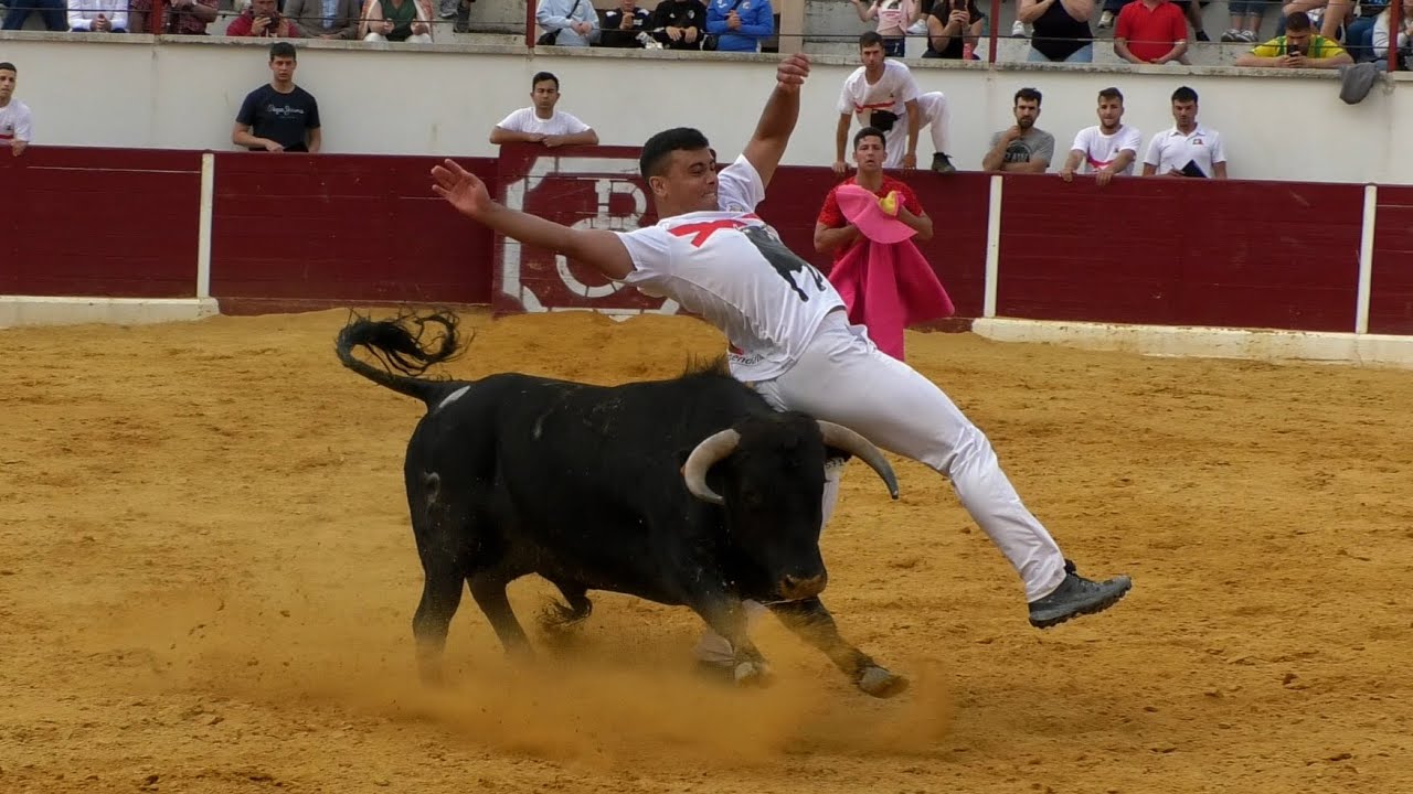 CONCURSO DE RECORTADORES MENDAVIA 2024