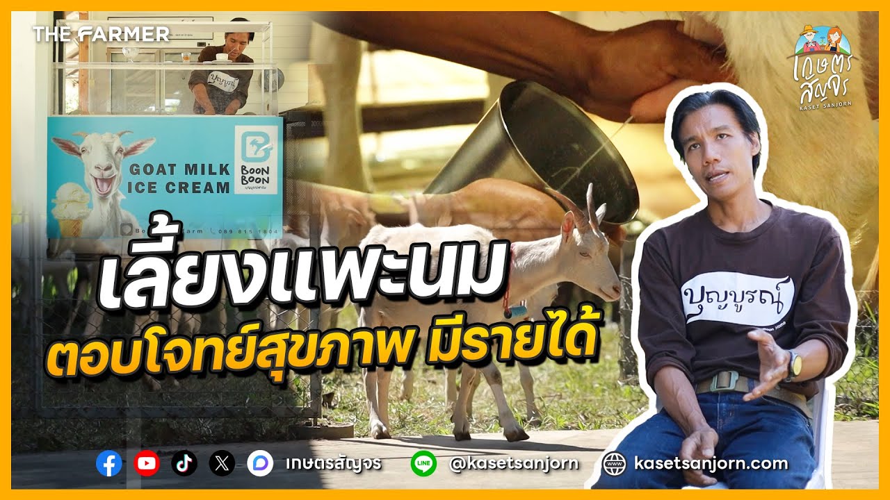 หนีเมืองกรุงมาเลี้ยงแพะนม กับอดีตสถาปนิกหนุ่ม ที่ บุญบูรณ์ฟาร์ม จ.ลำปาง | เกษตรสัญจร