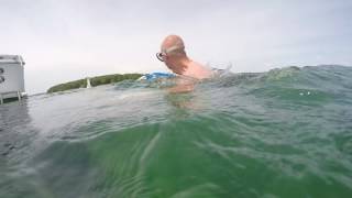 Springtime Snorkel Lake Erie & Niagara River