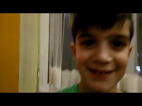 celenji sheasrule(ქართულად)