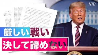 「法廷での訴訟は厳しい戦い」専門家が予測する米大統領選の今後の状況