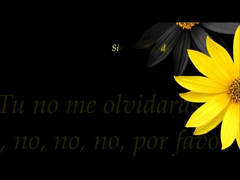 LOS SATELITES PENSANDO EN TI (salsa not played enough series)