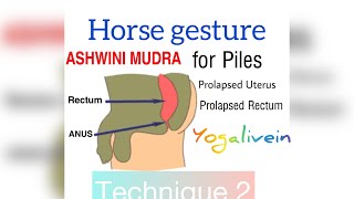 Ashwini mudra 2// horse gesture//Yogalivein//Ranjan//massage abdominal organs//powerful