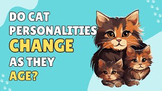 Do Cats Change as They Age Exploring Feline Personalities