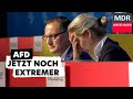 Radikal und stramm rechts – Die düstere Zukunft der AfD? | Doku