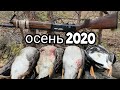 #ОХОТА НА ГУСЯ#ОСЕНЬ 2020#НЕПЛОХИЕ ВЫЛЕТЫ#КРАЙНЯЯ ОХОТА В ЭТОМ СЕЗОНЕ#