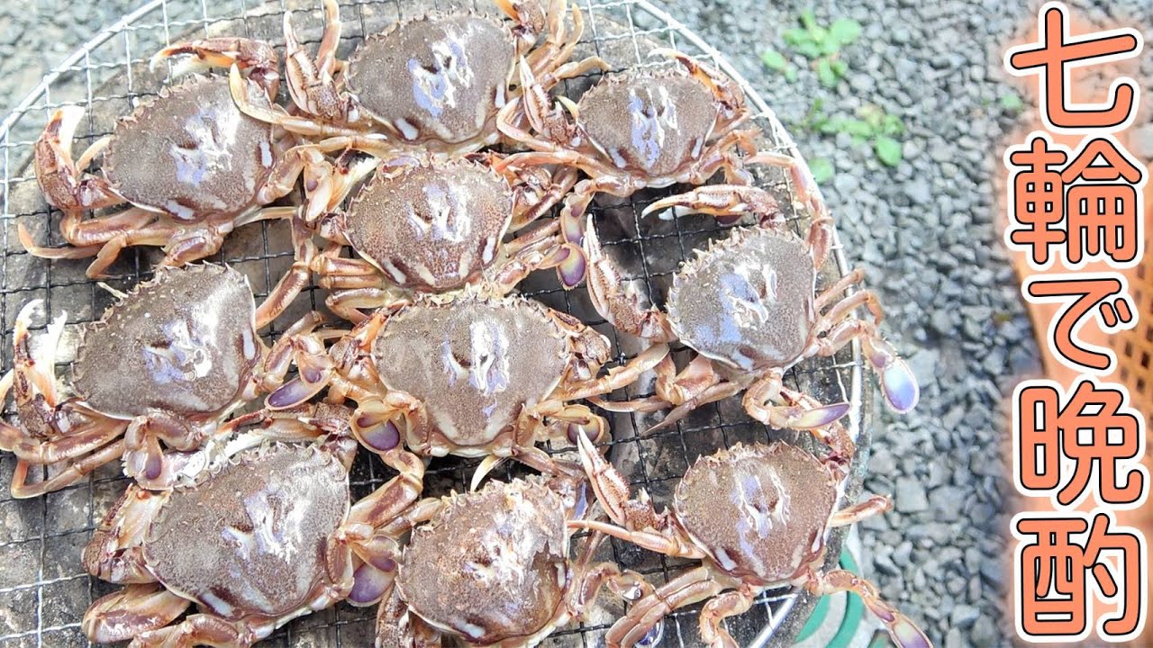 【七輪で晩酌】ヒラツメガニを10匹焼いて殻ごと食べる！