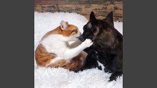 Theta Waves for Harmonic Pet Bliss
