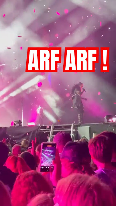 Vessel Hitting the Arf Arf - Sleep Token Rock im Park 2025 -  #live #eveninarcadia #emergence #new