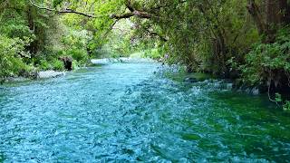 😴 Fall Asleep Fast to a Soft Forest River Stream 💧 No Birds • Relaxing Water Sounds (10 Hours). screenshot 3