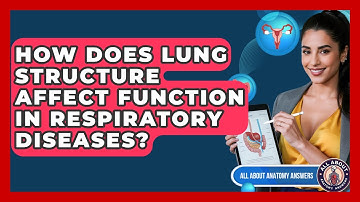 How Does Lung Structure Affect Function In Respiratory Diseases? - All About Anatomy Answers