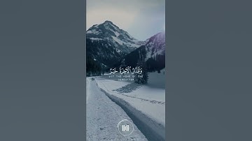 وما الحياة الدنيا إلا لعب ولهو| القارئ:شريف مصطفى🎧🤎