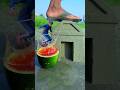 Water jumping amazing videography ideas 👀😱 #videography #magic #shorts