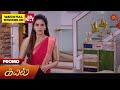 Next week in kayal  promo  20 may 2024  tamil serial  sun tv